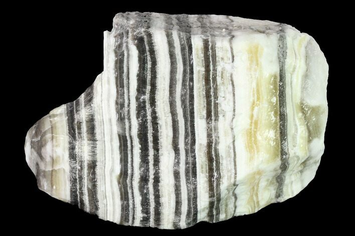 Free-Standing, Banded Zebra Calcite - Mexico #155772